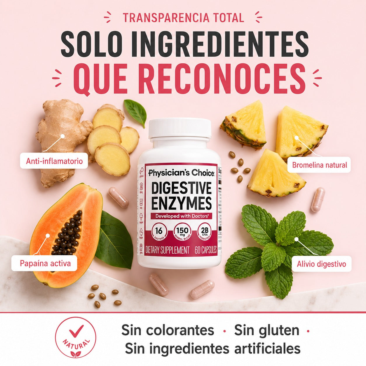 🧬 DIGESTIVE ENZYMES
